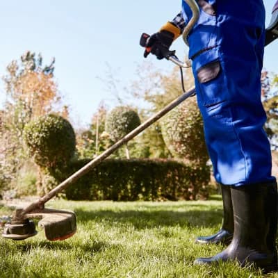 Lawn Care